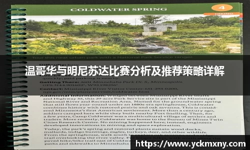 温哥华与明尼苏达比赛分析及推荐策略详解