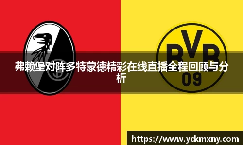 弗赖堡对阵多特蒙德精彩在线直播全程回顾与分析